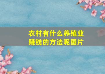 农村有什么养殖业赚钱的方法呢图片