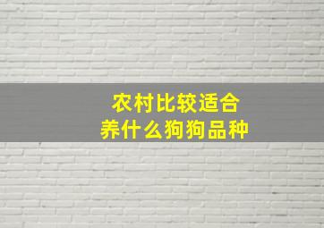 农村比较适合养什么狗狗品种