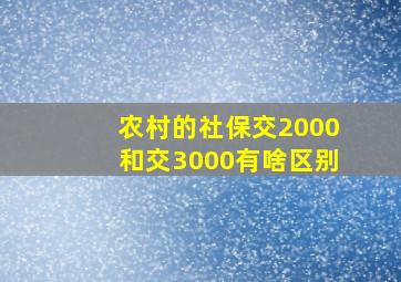 农村的社保交2000和交3000有啥区别