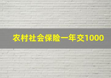 农村社会保险一年交1000