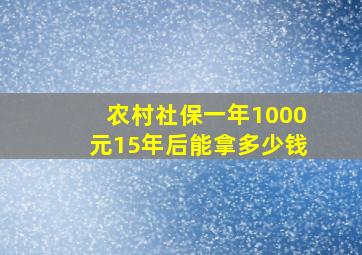 农村社保一年1000元15年后能拿多少钱