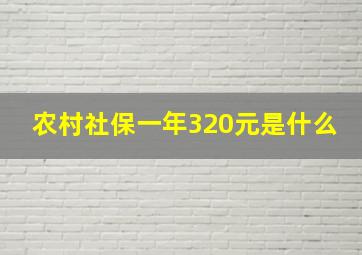 农村社保一年320元是什么