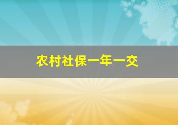 农村社保一年一交