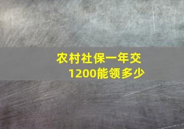 农村社保一年交1200能领多少