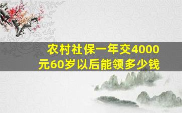 农村社保一年交4000元60岁以后能领多少钱