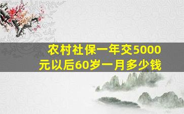 农村社保一年交5000元以后60岁一月多少钱