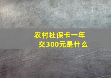 农村社保卡一年交300元是什么