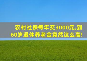 农村社保每年交3000元,到60岁退休养老金竟然这么高!