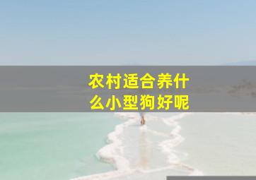 农村适合养什么小型狗好呢