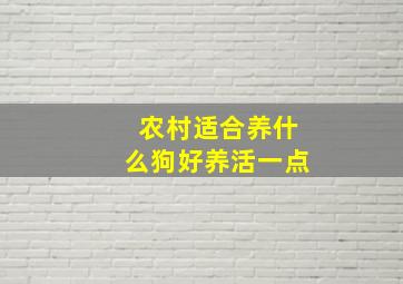 农村适合养什么狗好养活一点