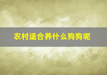 农村适合养什么狗狗呢