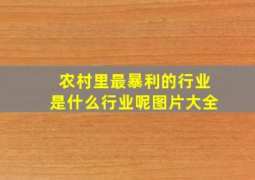 农村里最暴利的行业是什么行业呢图片大全