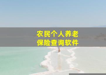 农民个人养老保险查询软件