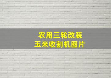 农用三轮改装玉米收割机图片