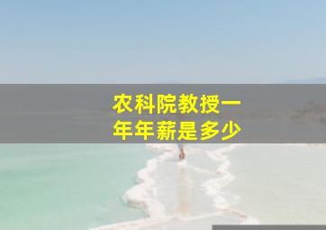 农科院教授一年年薪是多少