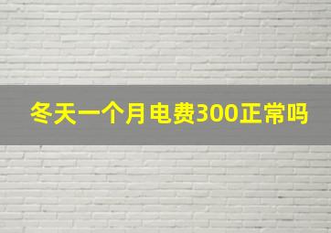 冬天一个月电费300正常吗