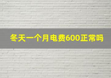 冬天一个月电费600正常吗