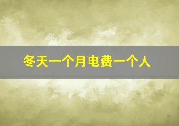 冬天一个月电费一个人