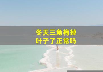 冬天三角梅掉叶子了正常吗