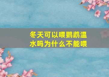 冬天可以喂鹦鹉温水吗为什么不能喂