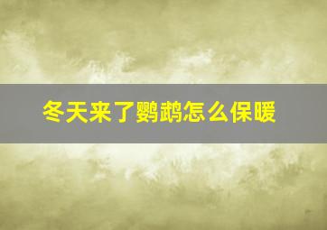 冬天来了鹦鹉怎么保暖