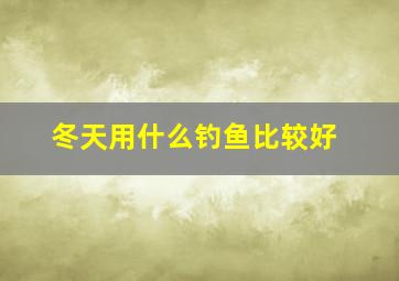 冬天用什么钓鱼比较好