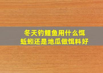 冬天钓鲤鱼用什么饵蚯蚓还是地瓜做饵料好