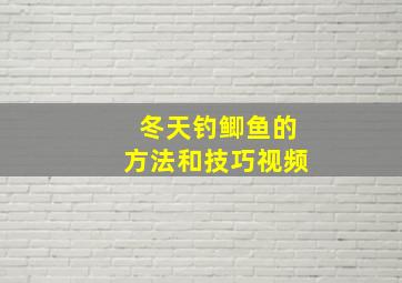 冬天钓鲫鱼的方法和技巧视频