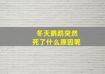 冬天鹦鹉突然死了什么原因呢