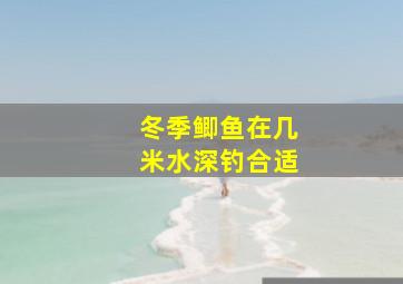 冬季鲫鱼在几米水深钓合适