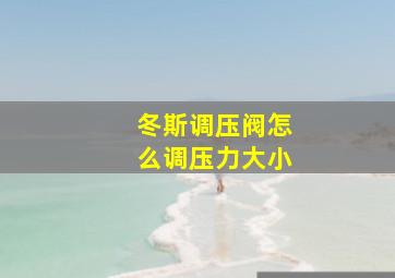 冬斯调压阀怎么调压力大小