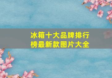 冰箱十大品牌排行榜最新款图片大全