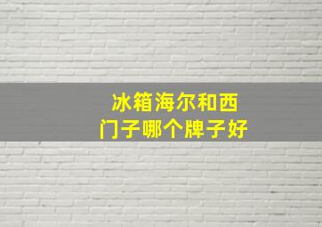 冰箱海尔和西门子哪个牌子好