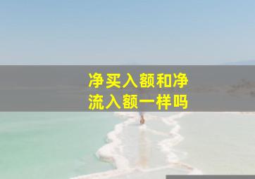 净买入额和净流入额一样吗