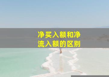 净买入额和净流入额的区别