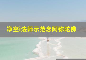 净空i法师示范念阿弥陀佛