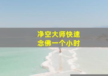 净空大师快速念佛一个小时