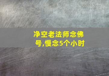 净空老法师念佛号,慢念5个小时