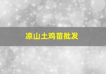 凉山土鸡苗批发