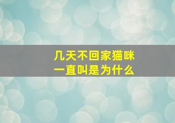 几天不回家猫咪一直叫是为什么