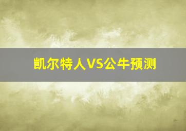 凯尔特人VS公牛预测