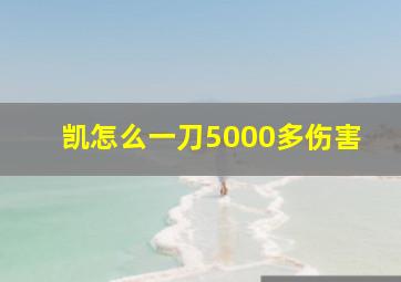 凯怎么一刀5000多伤害