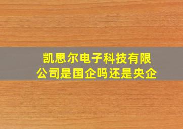 凯思尔电子科技有限公司是国企吗还是央企