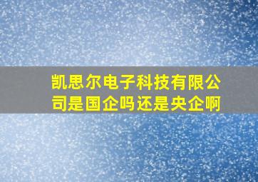 凯思尔电子科技有限公司是国企吗还是央企啊