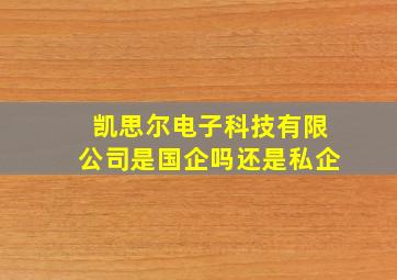 凯思尔电子科技有限公司是国企吗还是私企