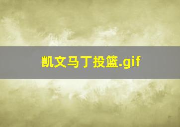 凯文马丁投篮.gif