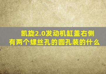 凯旋2.0发动机缸盖右侧有两个螺丝孔的圆孔装的什么