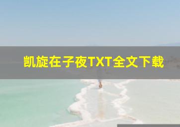 凯旋在子夜TXT全文下载