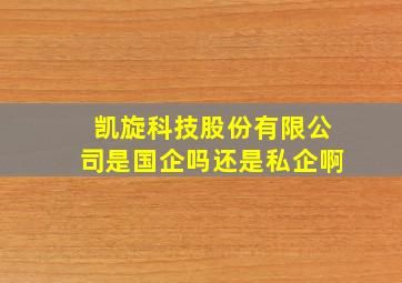 凯旋科技股份有限公司是国企吗还是私企啊