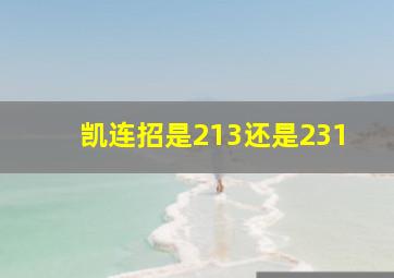 凯连招是213还是231